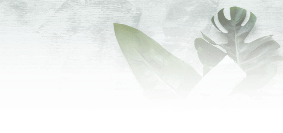 Gama Solar Power Control